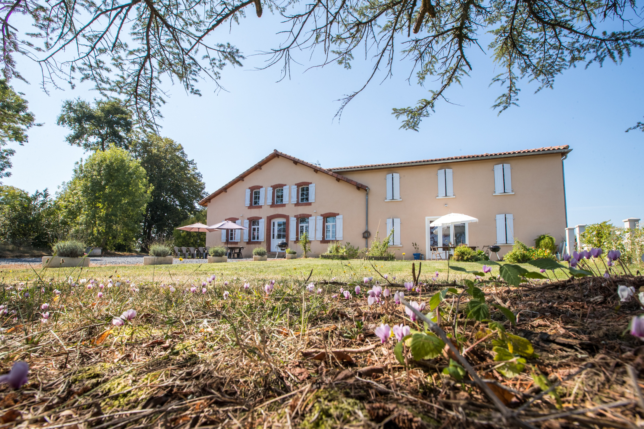 Photo bien immobilier