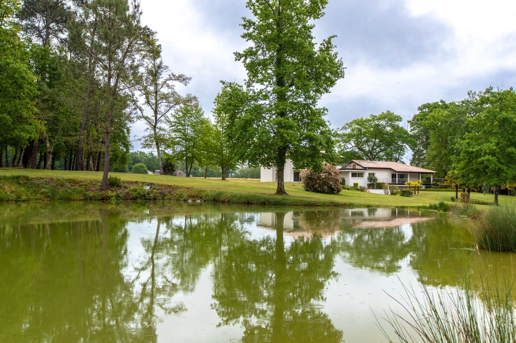 Photo bien immobilier